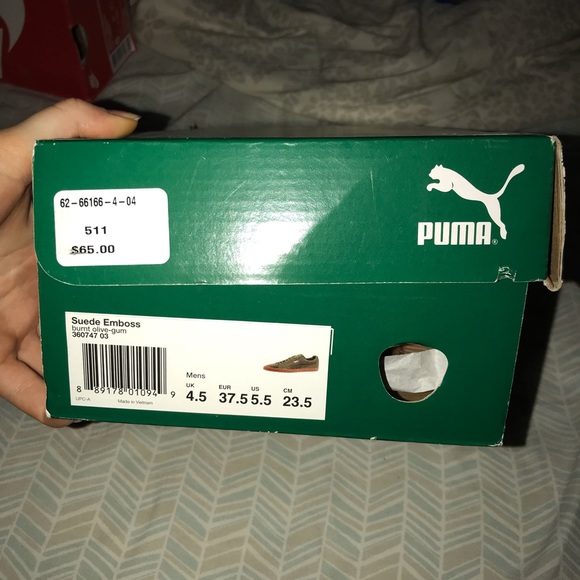 Pumas - Picture 3 of 3